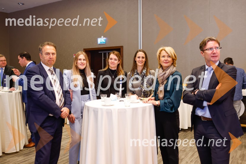 Gospodarski krog, Amcham Slovenija
