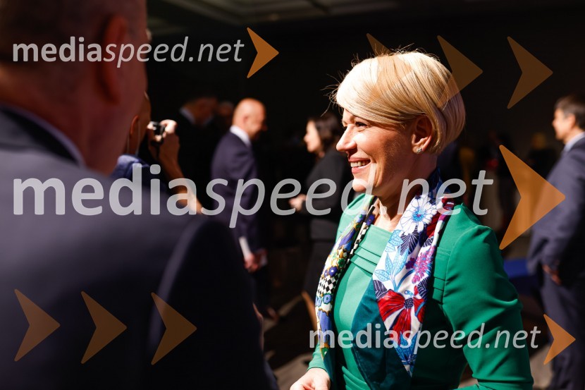 dr. Aleksandra Pivec, stranka Naša dežela, predsednicaGospodarski krog, Amcham Slovenija
