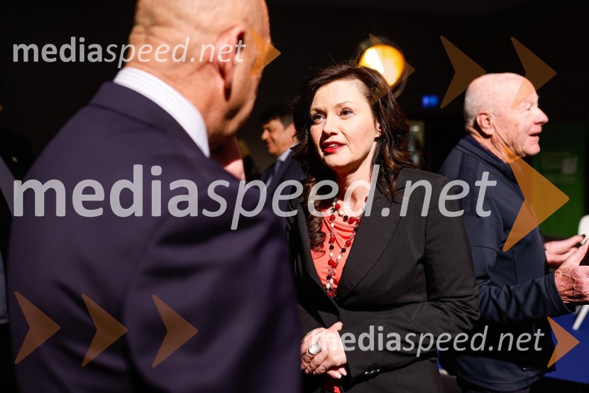 Gospodarski krog, Amcham Slovenija