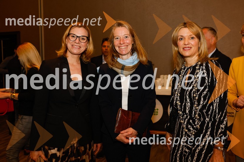 Gospodarski krog, Amcham Slovenija