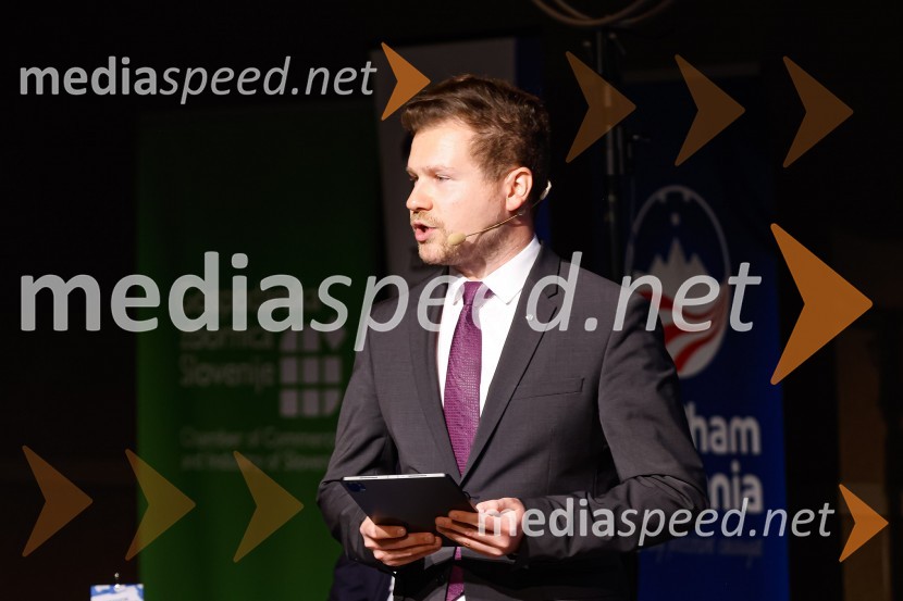 Gospodarski krog, Amcham Slovenija