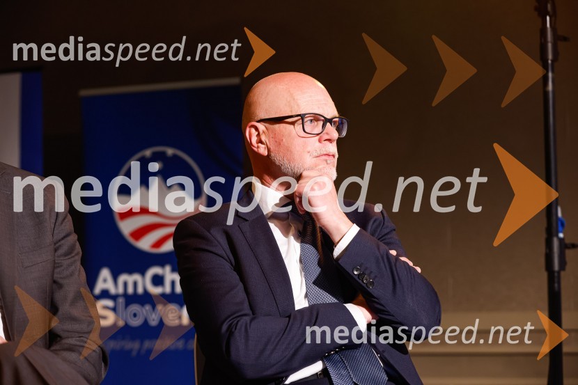  Dimitrij Zadel, Gibanje SvobodaGospodarski krog, Amcham Slovenija