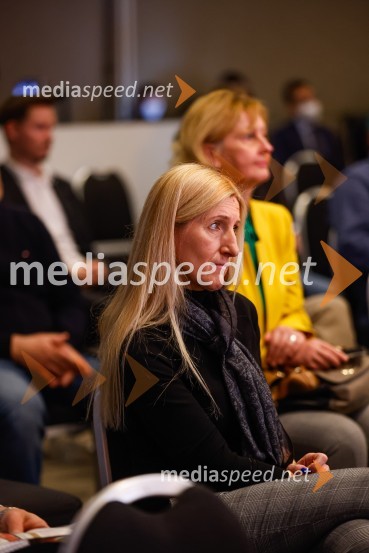 Gospodarski krog, Amcham Slovenija