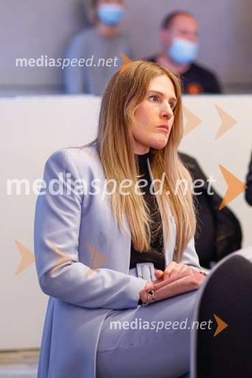 Gospodarski krog, Amcham Slovenija