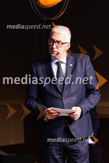 Gospodarski krog, Amcham Slovenija