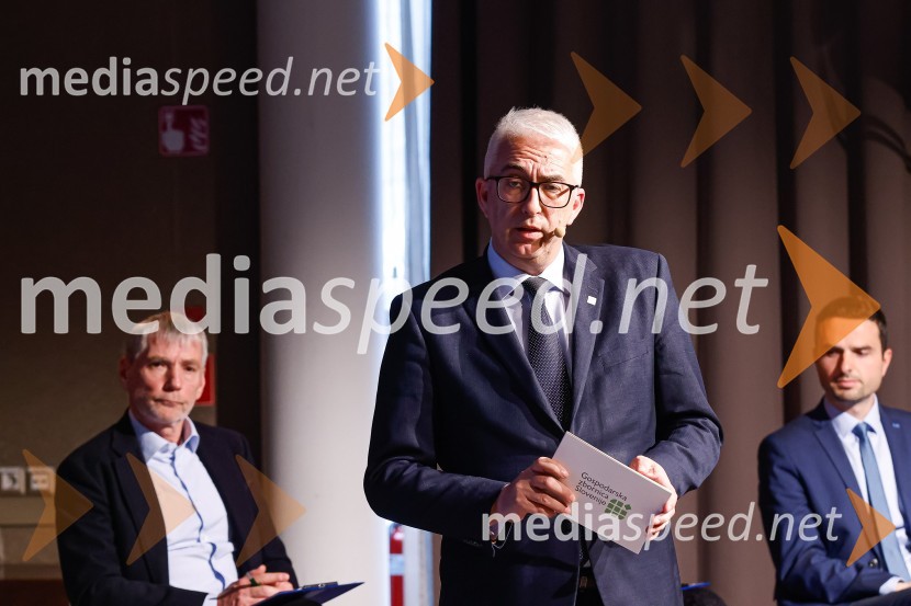Gospodarski krog, Amcham Slovenija