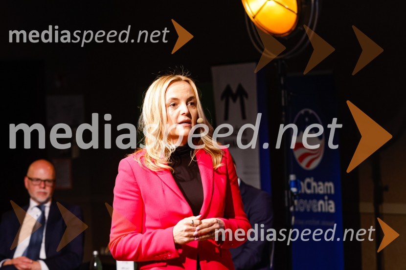  Ajša Vodnik, izvršna direktorica AmCham (Ameriška gospodarska zbornica)Gospodarski krog, Amcham Slovenija