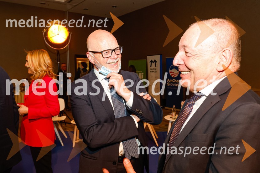 Gospodarski krog, Amcham Slovenija