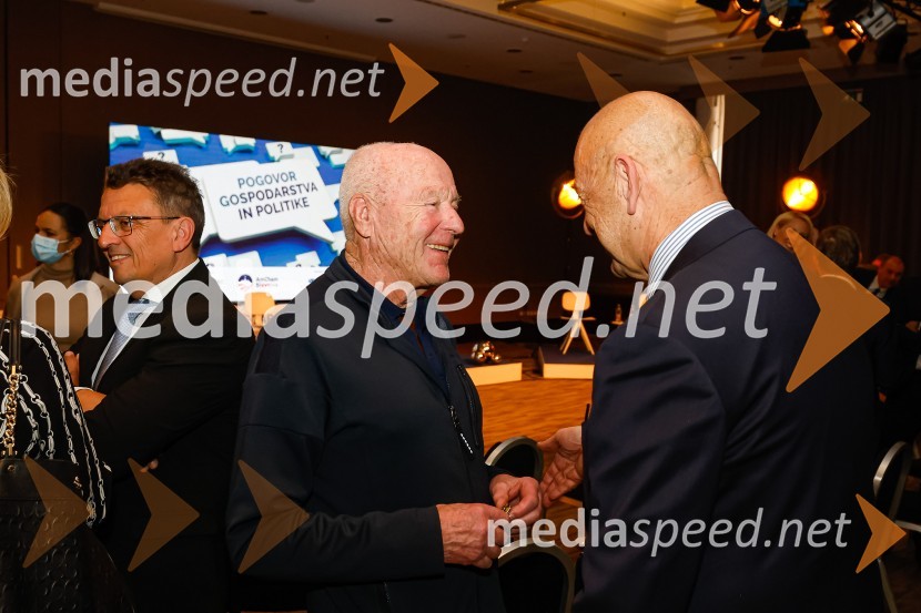 Gospodarski krog, Amcham Slovenija