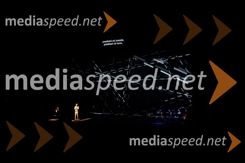 Laibach: Mi smo narod, koncert