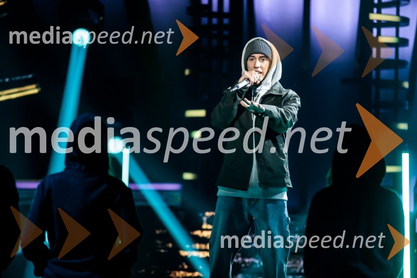  Anej Piletič, BQLZnan obraz ima svoj glas, 6. oddaja