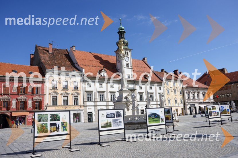 Alfi Nipič in njegov Maribor