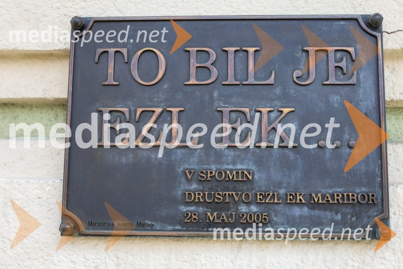 Alfi Nipič in njegov Maribor