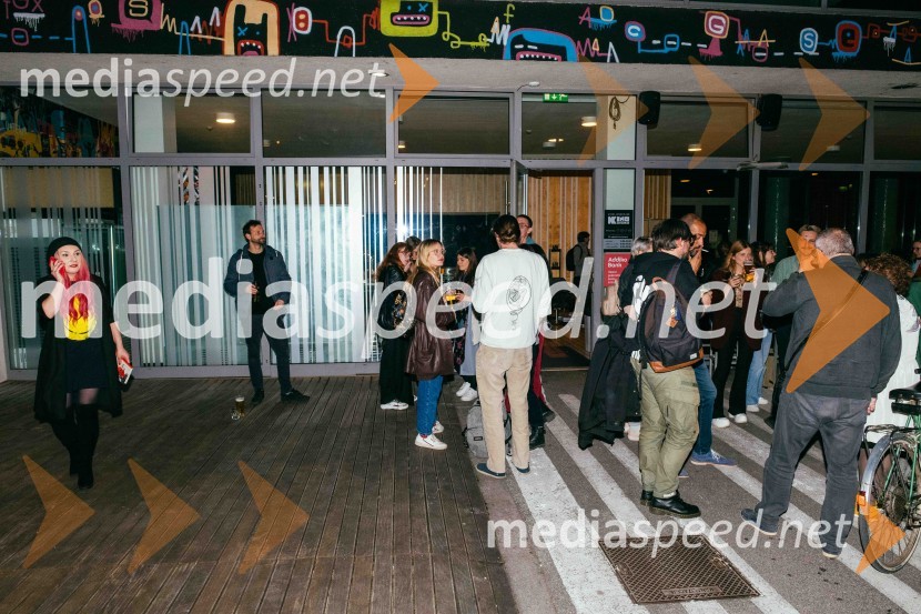 Zakaj ne pišem, predstavitev knjige Dijane Matković