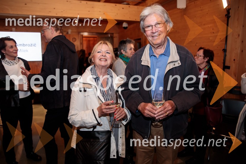 Lado Ambrožič v pogovoru z Vesno Milek, Škrabčeva domačija