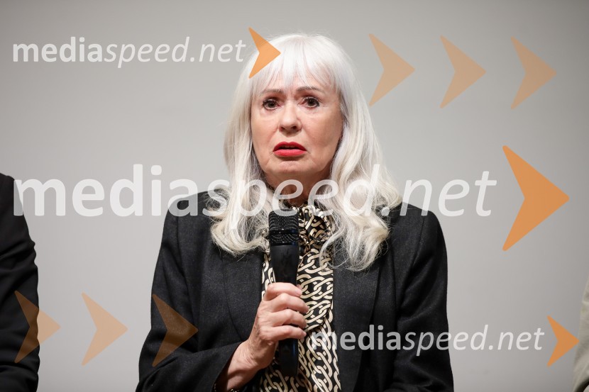  Mojca Zaplotnik JamnikAlpinistični dnevnik Nejca Zaplotnika, predstavitev knjige