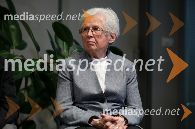  Marija ŠterkAlpinistični dnevnik Nejca Zaplotnika, predstavitev knjige