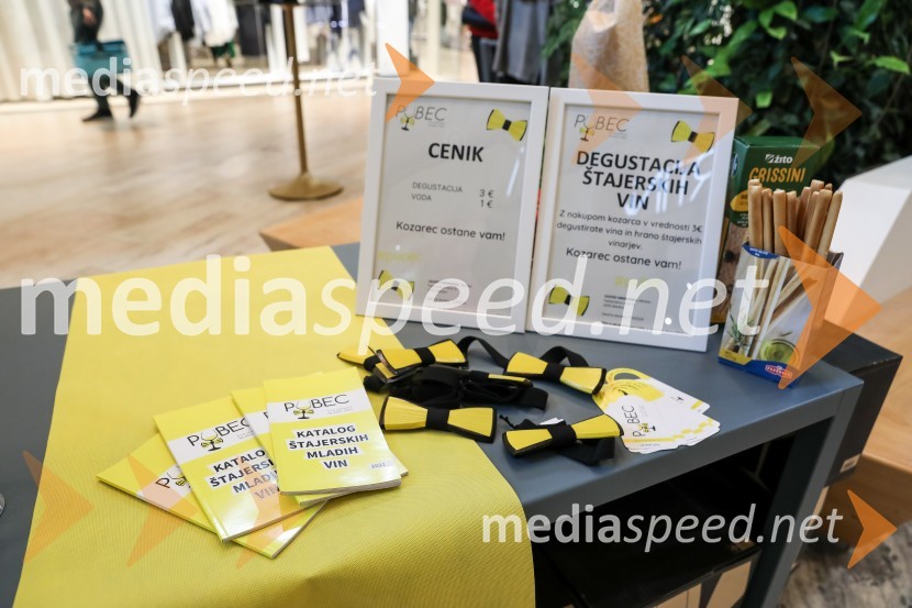 Pubeci v centru Aleja Ljubljana