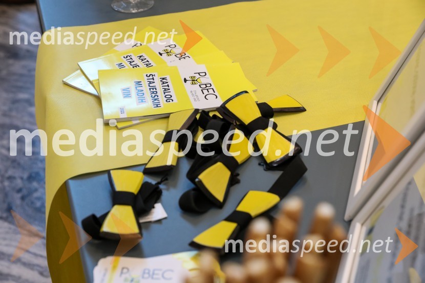 Pubeci v centru Aleja Ljubljana