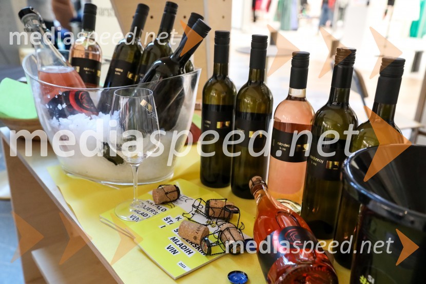 Pubeci v centru Aleja Ljubljana