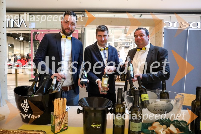  Aleksander Rigo, Rigo Vino;  Sandi  Fleisinger, Kmetija Fleisinger;  Dušan  Mulec, Vinogradništvo MulecPubeci v centru Aleja Ljubljana