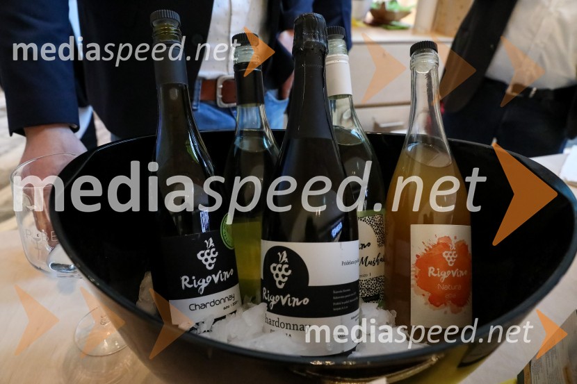 Pubeci v centru Aleja Ljubljana