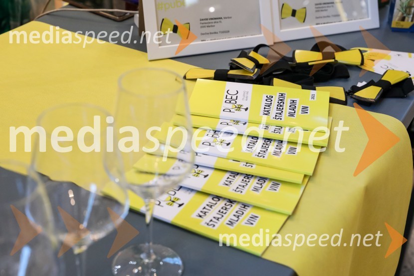 Pubeci v centru Aleja Ljubljana