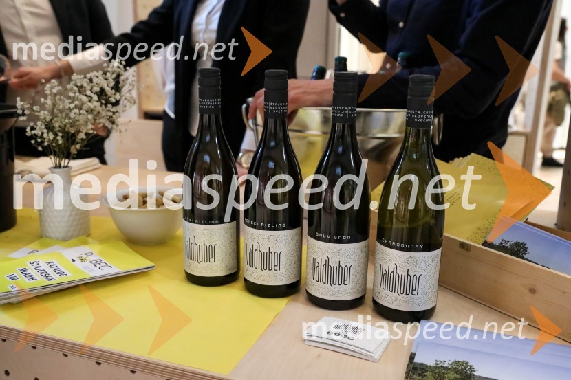 Pubeci v centru Aleja Ljubljana