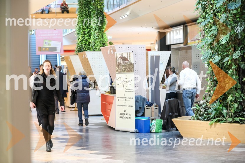 Pubeci v centru Aleja Ljubljana