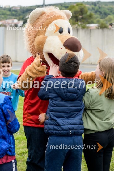 Tudi v občini Piran z novo 3D-zebro na šolski poti