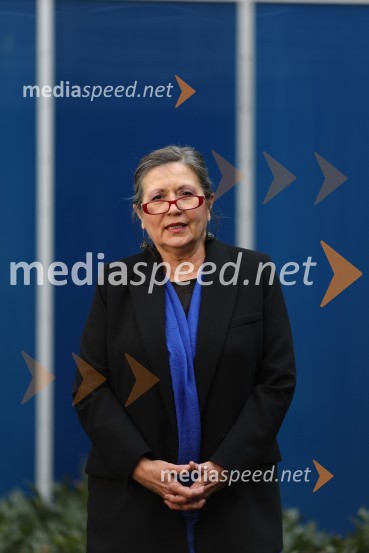 dr. Vesna  Vuk Godina, antropologinja, predavateljicaVesna Vuk Godina, portret antropologinje