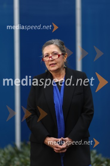 dr. Vesna  Vuk Godina, antropologinja, predavateljicaVesna Vuk Godina, portret antropologinje