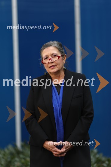 dr. Vesna  Vuk Godina, antropologinja, predavateljicaVesna Vuk Godina, portret antropologinje