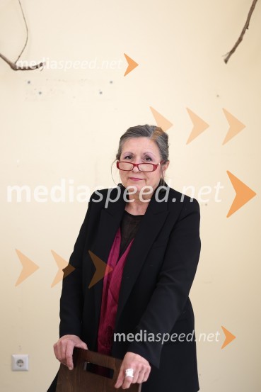 dr. Vesna  Vuk Godina, antropologinja, predavateljicaVesna Vuk Godina, portret antropologinje