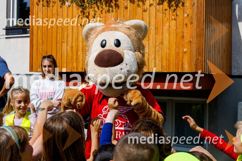 Inovativna 3D-zebra skrbi za bolj varno šolsko pot v Kobaridu