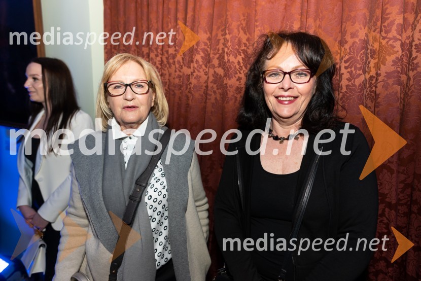 Mesec mode v muzeju, modna revija