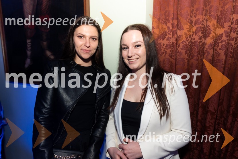 Mesec mode v muzeju, modna revija