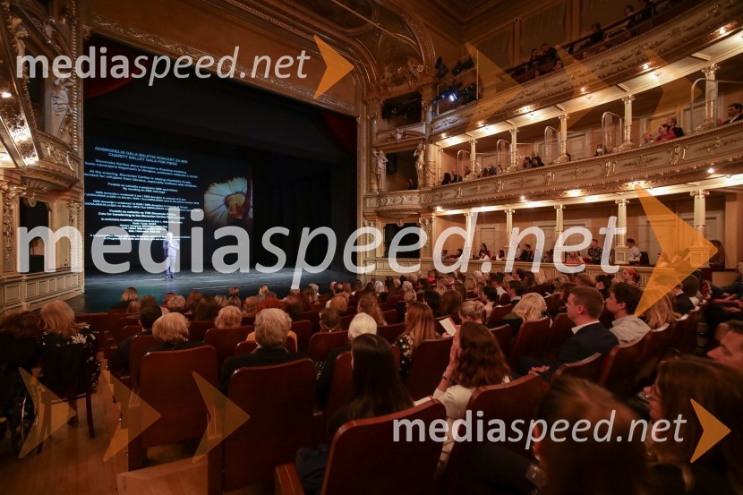 Dobrodelni svečani baletni koncert za mir