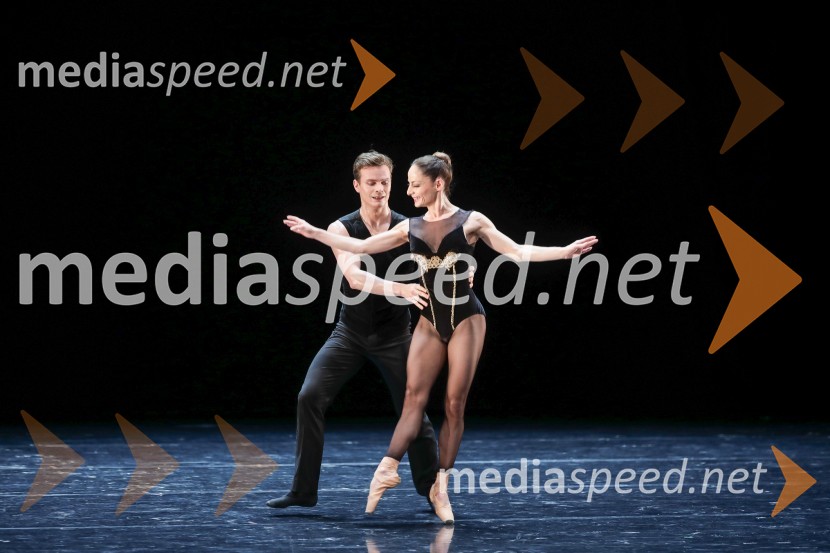 Dobrodelni svečani baletni koncert za mir