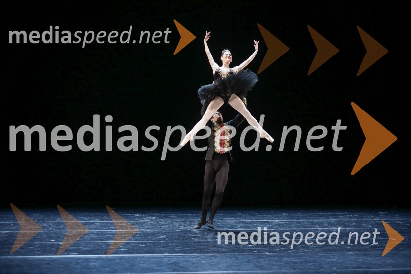 Dobrodelni svečani baletni koncert za mir