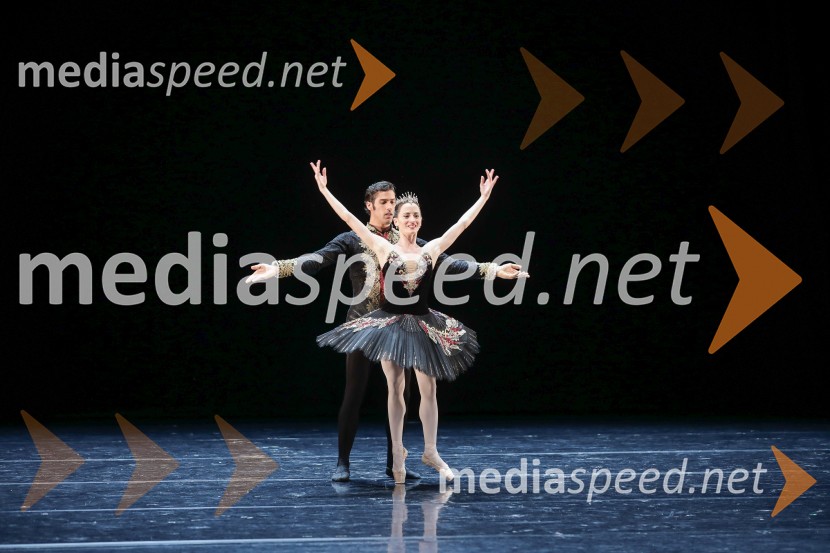 Dobrodelni svečani baletni koncert za mir