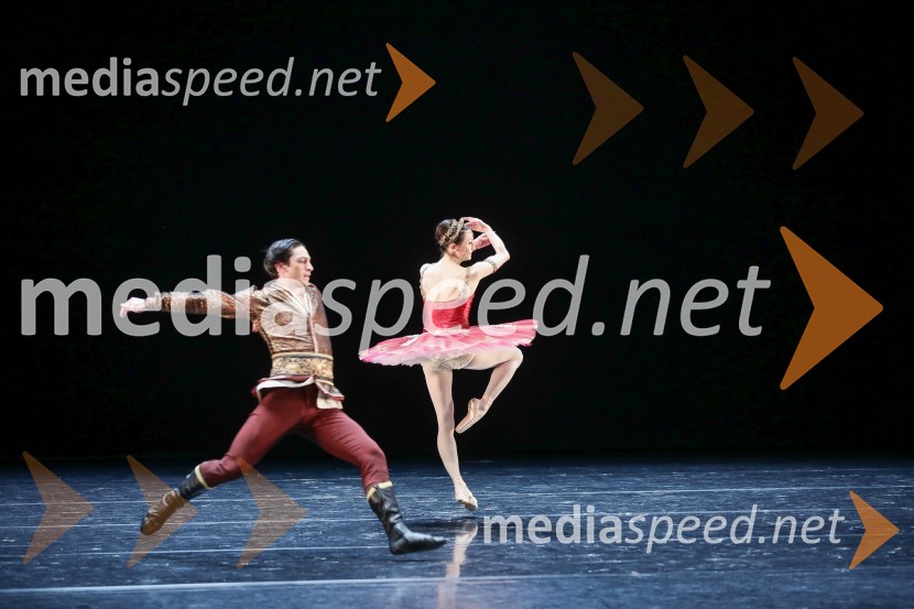 Dobrodelni svečani baletni koncert za mir