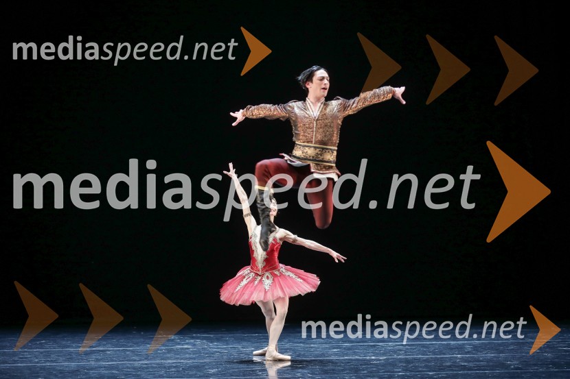 Dobrodelni svečani baletni koncert za mir