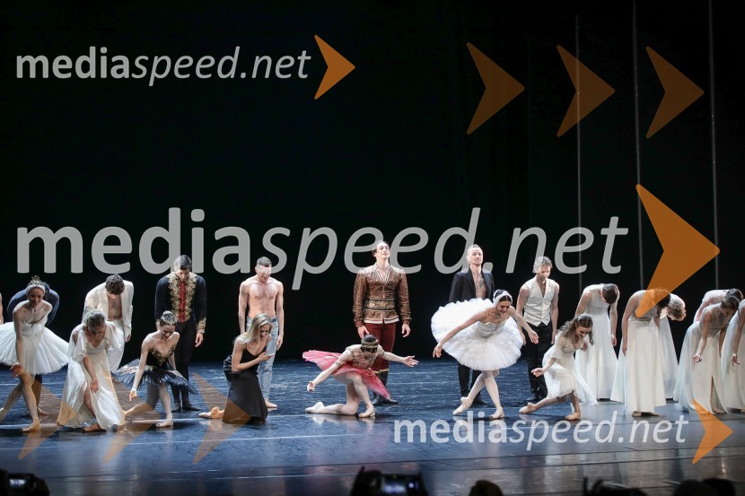 Dobrodelni svečani baletni koncert za mir