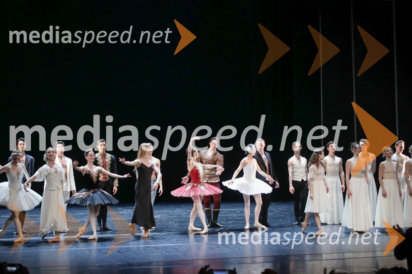 Dobrodelni svečani baletni koncert za mir