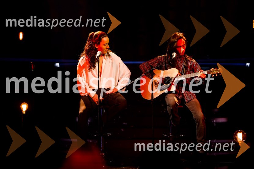  Rok Piletič, BQL;  Anej Piletič, BQLZnan obraz ima svoj glas, 8. oddaja