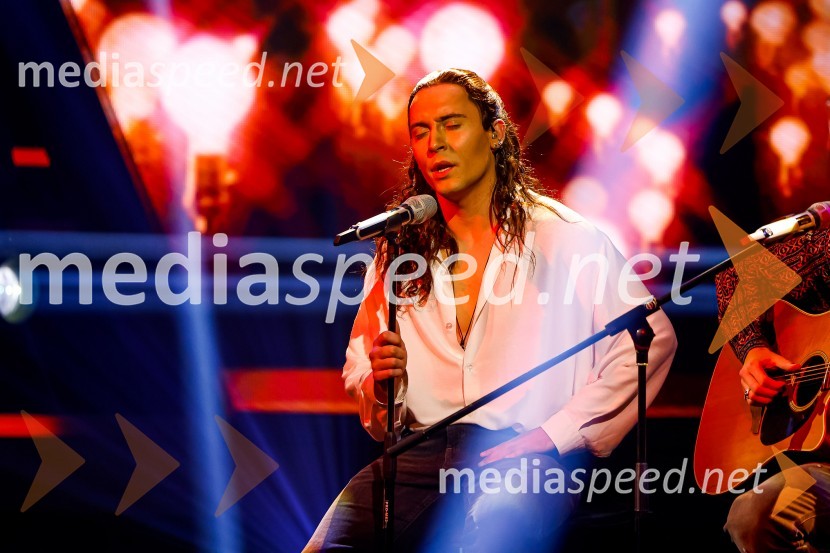  Rok Piletič, BQLZnan obraz ima svoj glas, 8. oddaja