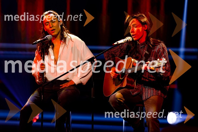  Rok Piletič, BQL;  Anej Piletič, BQLZnan obraz ima svoj glas, 8. oddaja