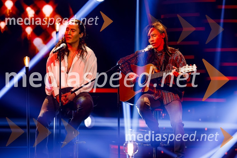  Rok Piletič, BQL;  Anej Piletič, BQLZnan obraz ima svoj glas, 8. oddaja