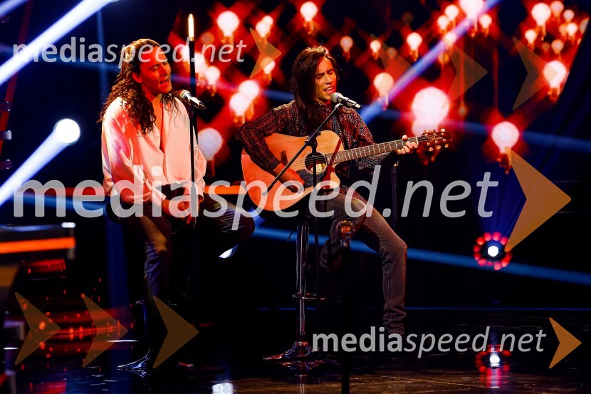  Rok Piletič, BQL;  Anej Piletič, BQLZnan obraz ima svoj glas, 8. oddaja